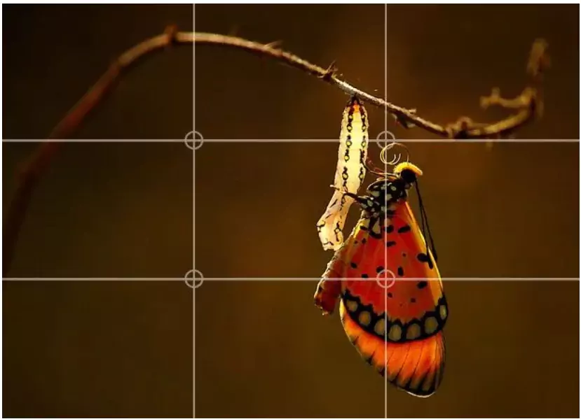 Fotoğrafta Nesneleri Yerleştirme